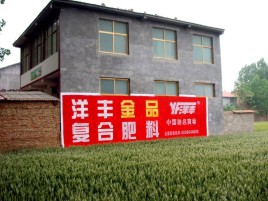 永寿如何让墙体广告展现最大化效果