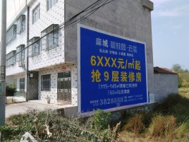 永寿墙体广告质量分析