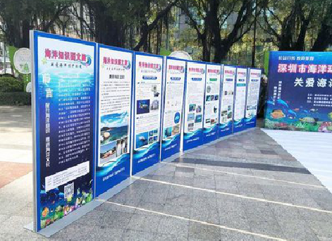 永寿KT板的种类和知识。